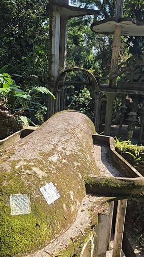 Steve Chalifoux on Reels