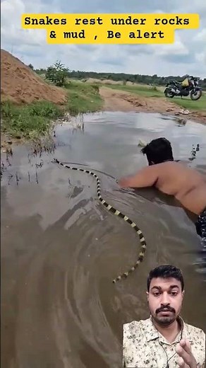 How to Avoid Snake Bite | Public Awareness Video #snakesafety #safetytips #awarenessvideo #shorts