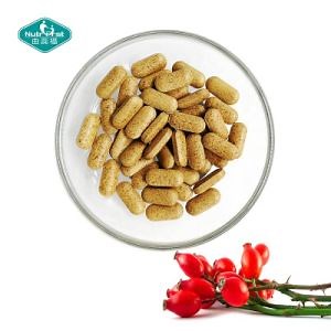 [Hot Item] Controlled Release Supplement Vitamin C Rosehip Sustained Timed Release Tablet Rose HIPS for Enhance Immunity