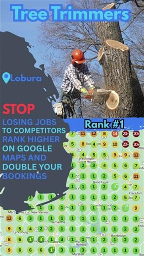 🌳 Tree Trimmers: Ready to Branch Out and Dominate Google?