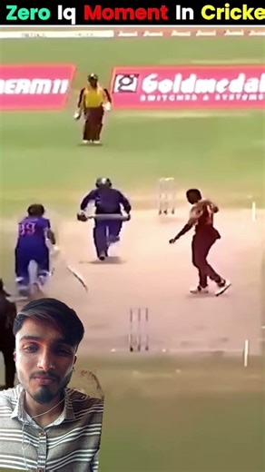 #cricket #funnymovment #cricket shorts