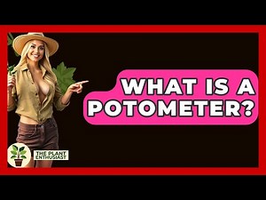 What Is A Potometer? - The Plant Enthusiast