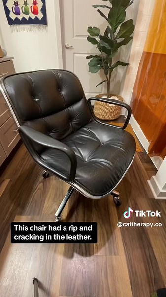 Leather and cats don’t always mix. But did you know you can refinish leather yourself? I just purrchased this mid century modern Knoll Pollock Executive Chair and wanted to share my process of refinishing it. Whilst the cats have not done any damage to this chair…yet (I bought it like this), you could easily do this for cat scratches too. Be sure to follow for part 2. #leatherfurniturerepair #catfurniture #knollpollockchair #diyfurniture #catsandinteriors #livingwithcats