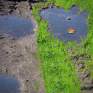 10K views · 105 reactions | Autumn makes for the BEST muddy puddles... | Peppa Pig | Facebook