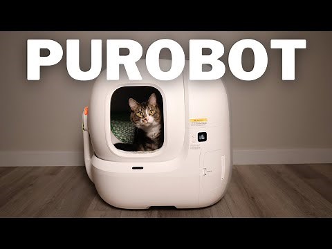 Petkit Purobot Max Pro Review | Game Changer or Gimmick?