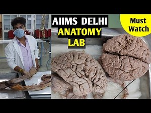 AIIMS DELHI Anatomy Hall