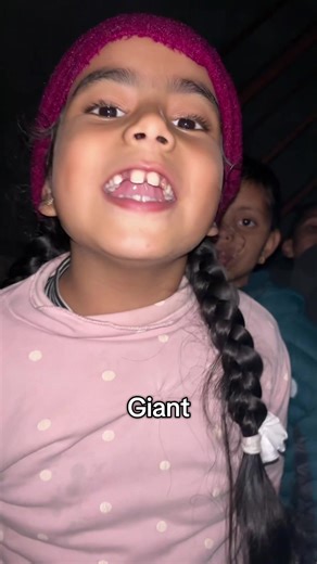 Exploring Giant Bouquets Around the World