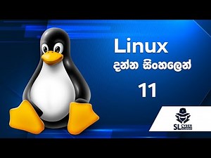 How to use sudo command in linux ?