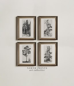 Vintage Tree Sketch Print Set: Neutral Gallery Wall Art (digital Printable) S4-5 - Etsy