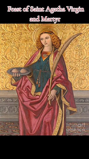 Marc Steven on TikTok