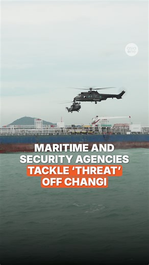 Exercise Highcrest, the annual whole-of-government maritime security exercise, took place today (Nov 28) off Changi. Jackson Pang, director of the Singapore Maritime Crisis Centre's National Maritime Operations Group, explains the importance of the exercise and the simulations this year. https://asia1.news/4rqiWJc #sgnews #Singaprore #ships #maritime #trade #security | AsiaOne
