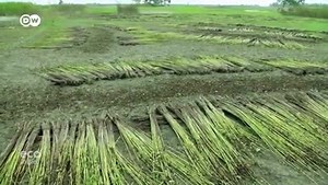 This single invention of #MubarakAhamadKhan can change the world and Bangladesh forever but only for funding this project is not moving towards mass production!! I will try my best to be a part of this invention somehow and encourage everyone in my freind list to at least try and help anyway you can. Let's change the world , lets change Bangladesh! The Project Value 250-300 Corer BDT. Commercial Production off now. | Smart Garden