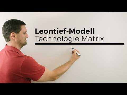 Leontief-Modell, Technologie Matrix, Bedeutung Koeffizienten, plus Tabelle, Mathe by Daniel Jung