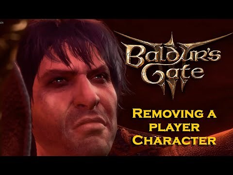 Baldur's gate 3 Removing a player character