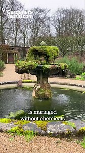 114K views · 1.7K reactions | Join Alan Titchmarsh as he takes us on a tour of King Charles' garden at Highgrove in Gloucestershire, in the latest episode of the Gardeners' World podcast. He'll meet the gardeners and find out how they make the organic garden look beautiful all year round. You can also watch a video version of this podcast episode on our YouTube channel, live now  | BBC Gardeners' World Magazine | Facebook