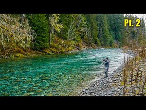 Fly Fishing Beautiful Rivers for the Hardest Fighting Fish in Freshwater (PNW Steelhead Fishing)