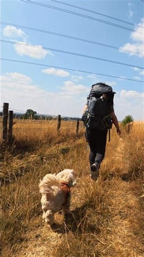Harvest Time In the UK