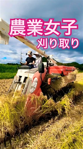 Kubota コンバインで刈り取り#kubota#harvester#harvestermachine #harvesters #コンバイン #combine #農業 #農家 #農業女子