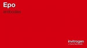 Epo antibodies from Thermo Fisher Scientific