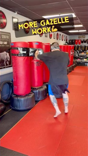 Fun Training Tools!!😃🤜💥 #fitnessover40 #boxing