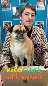 🐶We are posting a brand new ChatterBots video later today - this one will walk you through how to create your very own ChatterBot! Super easy - make sure you keep an eye out. #teaching #teachingideas #classroomresources | Teacher's Pet Classroom Resources