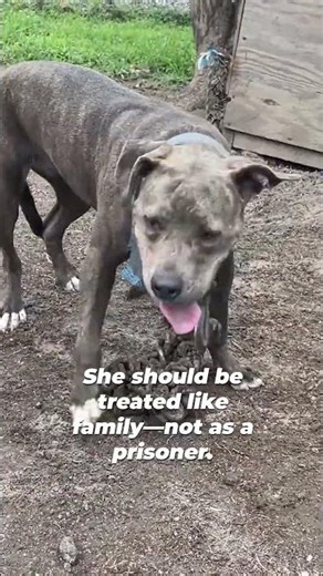 The chain around her neck was so heavy and tangled that she could barely move around.