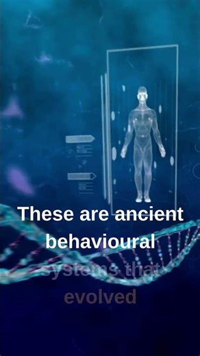 What REALLY Drives HUMAN BEHAVIOUR? (Meta-Instincts Explained)