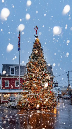 8.5K views · 2.2K reactions | All of your Hallmark Christmas dreams...