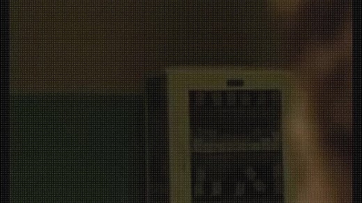 The Fall[2006] - Full Movie