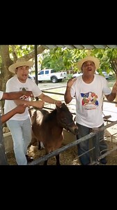 TBT SERA INNACIO @pegateyganaconelpacha | El Pachá