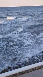 53K views · 1.4K reactions | Corneliu on Reels | Facebook