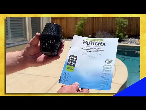 PoolRX - How to Get Rid of Algae in Your Pool!