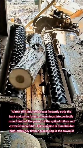 Crooked Log to Perfect Round Timber in Seconds 🤯 (Sawmill Power) #woodworking #wood #satisfying #how