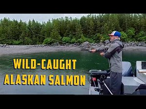Epic King Salmon Fishing + Snagging Sockeye Salmon
