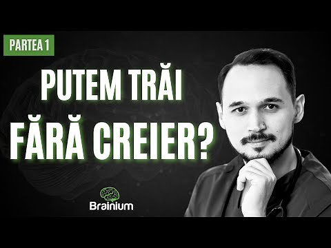Cum funcționează CREIERUL tău?🧠 Se poate fără el?😱 (Partea I)