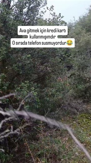 ABONE OL VE BEĞEN 💯🐇🐾👉