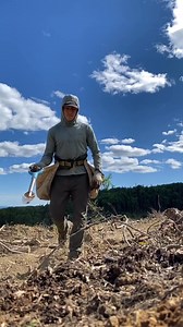 FAQ #13: Why don’t you use a mosquito head net ? Answer : Mosquito nets can be a good thing when the bugs are really bad. Although it reduces the visibility by a lot and it becomes harder to locate the planted trees. Question asked by : @riseaviator #trees #treeplanting #treeplanter #planttrees #plantingtrees | Antoine Moses