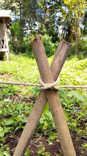 How to Tie a Constrictor Knot