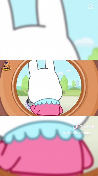 Quy tắc an toàn với Chó Labrador