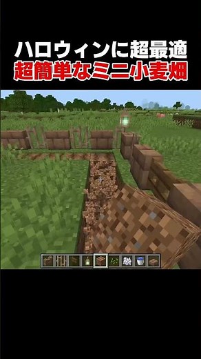【簡単建築】ハロウィンにピッタリな超簡単な小麦畑を作ってみた【マイクラ】