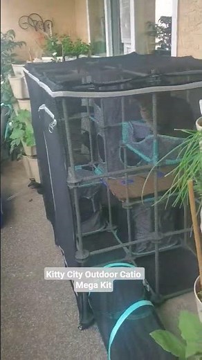 Kitty City Outdoor Catio Mega Kit