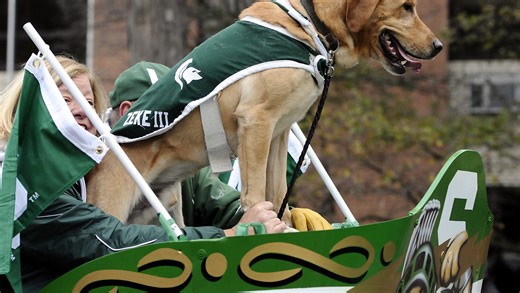 Michigan State University's homecoming is this weekend. Here's what you need to know