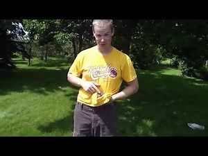 Baby rabbit squadding