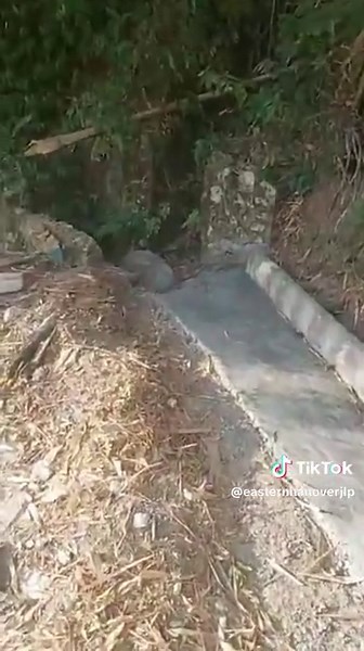 we continue to improve infrastructure in the constituency, through funding provided by the Rural Agricultural Development Authority (RADA) we are rehabilitating the Georgia Farm Road.