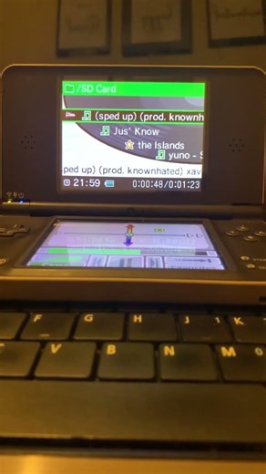 Dsi xl playing, something idk