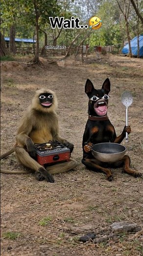 Part-2 . नया साल के दिन मुर्गी 🐔 का reaction 🤣 #funny #thetharpuns #OMS_k_fans #comedy