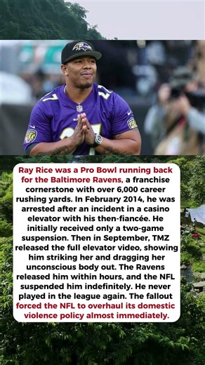 He Was a Pro Bowl Running Back... Then One Video Ended His Career in a Day | Ray Rice Story #nfl