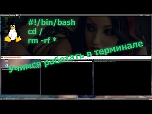 Linux - Терминал в Ubuntu, shell, bash, базовые команды, права доступа к файлам.