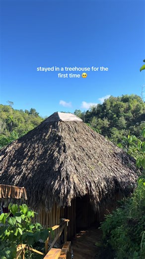 First Time Staying in a Treehouse Experience