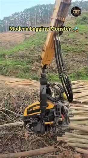 This Logging Machine is a BEAST! 🌲🚜 | Modern Logging Monster: Advanced Forestry Technology #Shorts